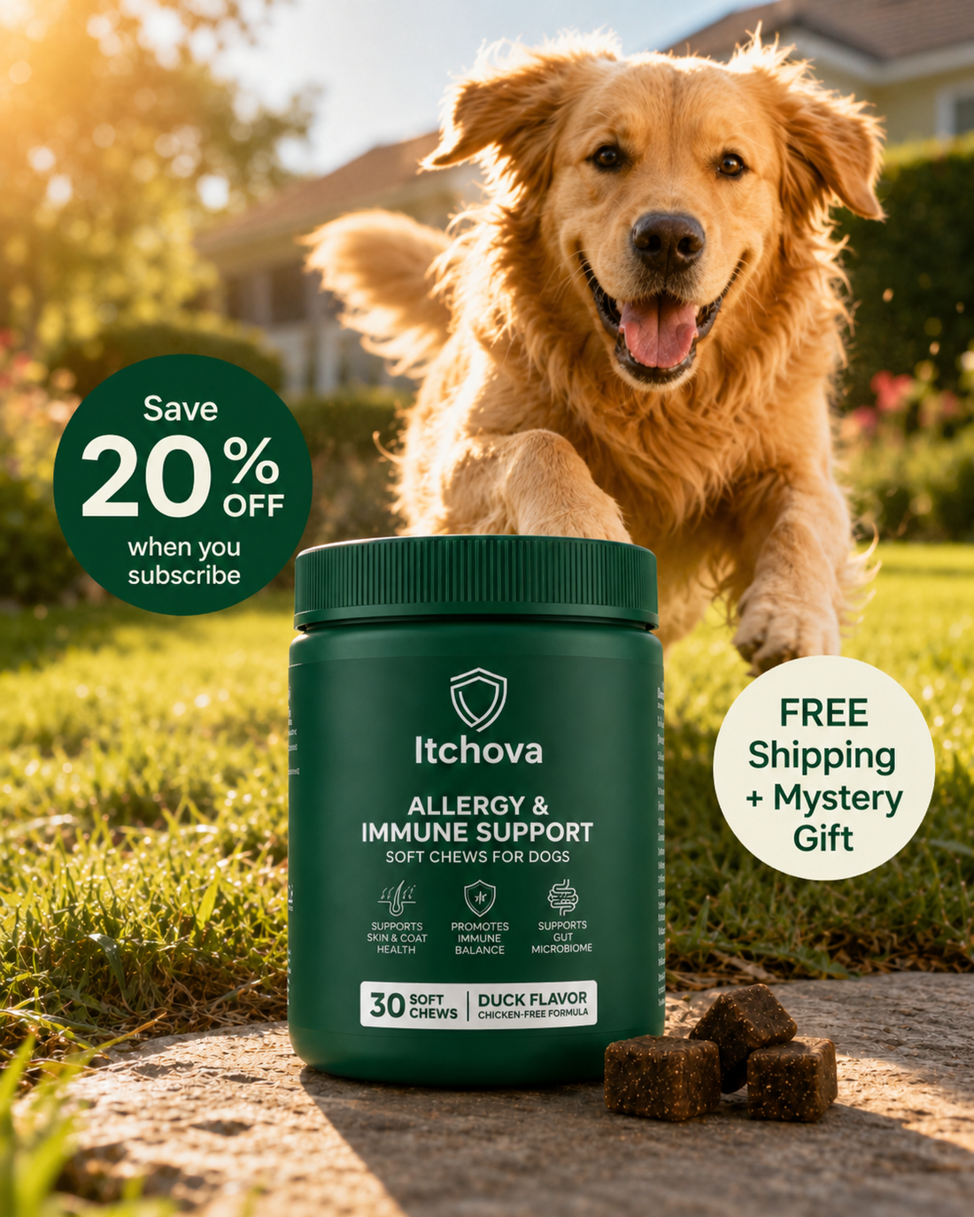 Itchova Allergy & Immune Support