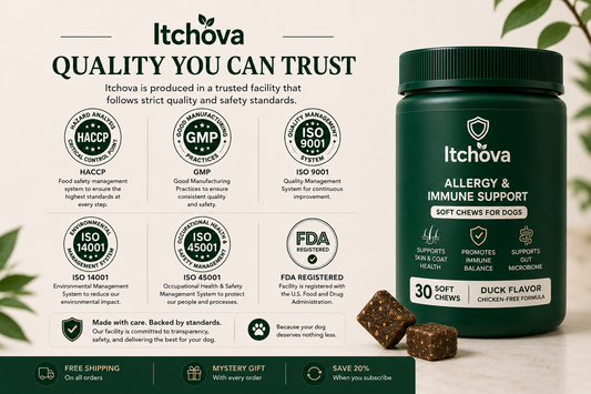 Quality you can trust — HACCP, GMP, ISO 9001, FDA registered, made in USA
